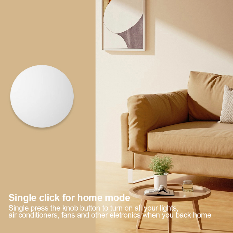 Tuya Zigbee slimme drukknop dr - Smart Home Zentrale recensie en prijs