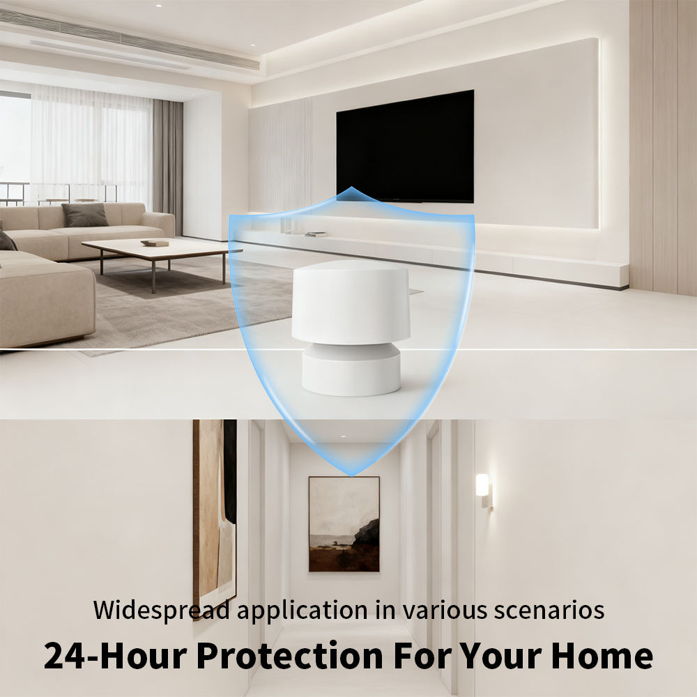 Zigbee of WiFi slimme aanwezig - Smart Home Or Smart Home recensie en prijs