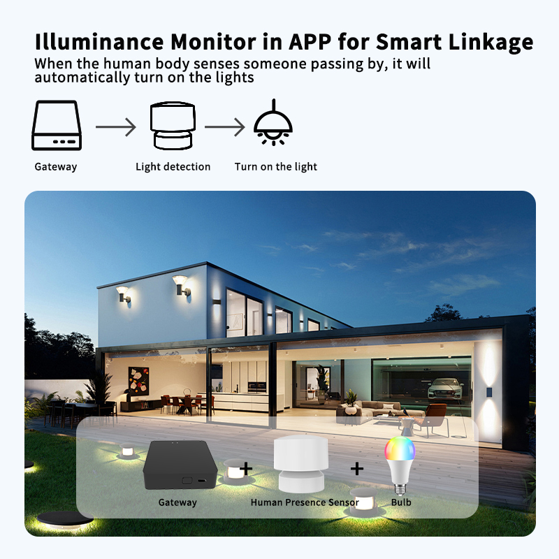 Zigbee of Wi-Fi-sensor voor me - Smart Home Or Smart Home recensie en prijs