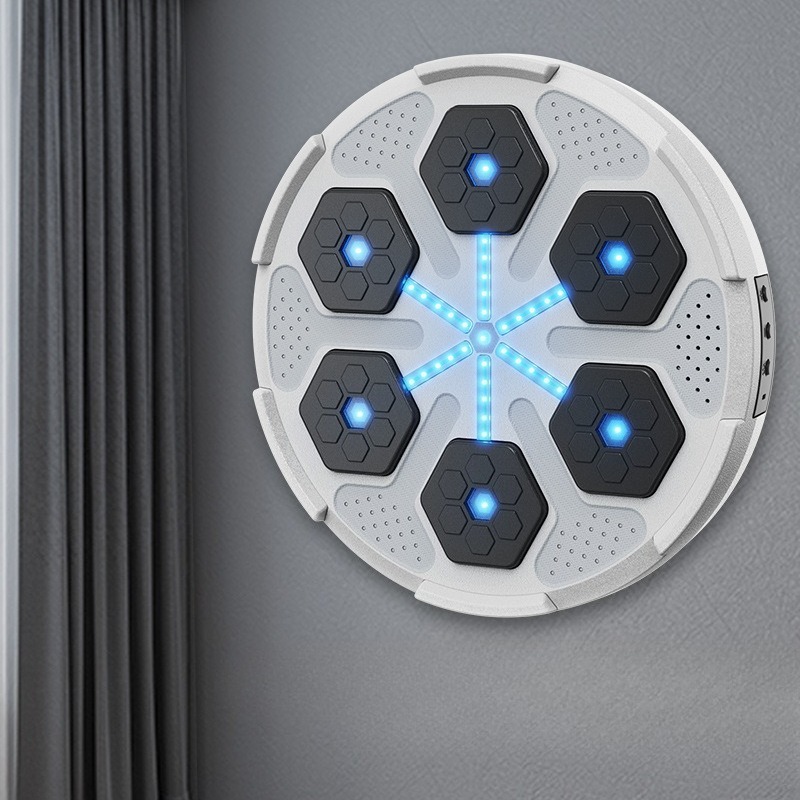 Fitness bokszak, slimme bokstr - Smart Home Trainer recensie en prijs